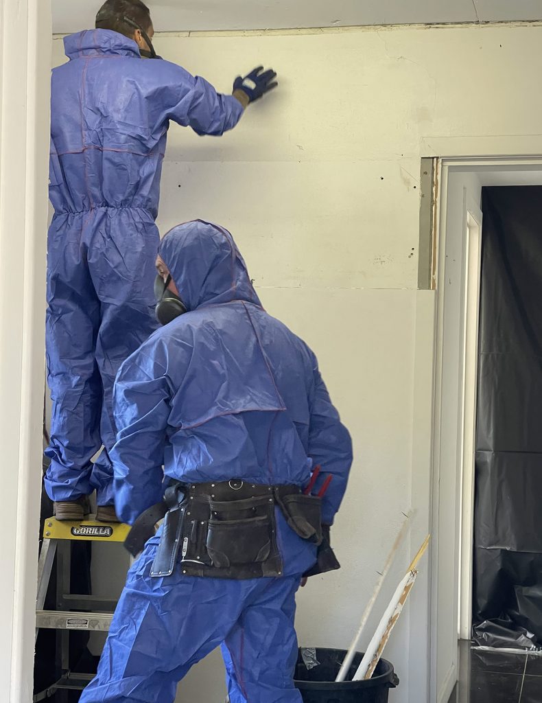 Asbestos Removal Team